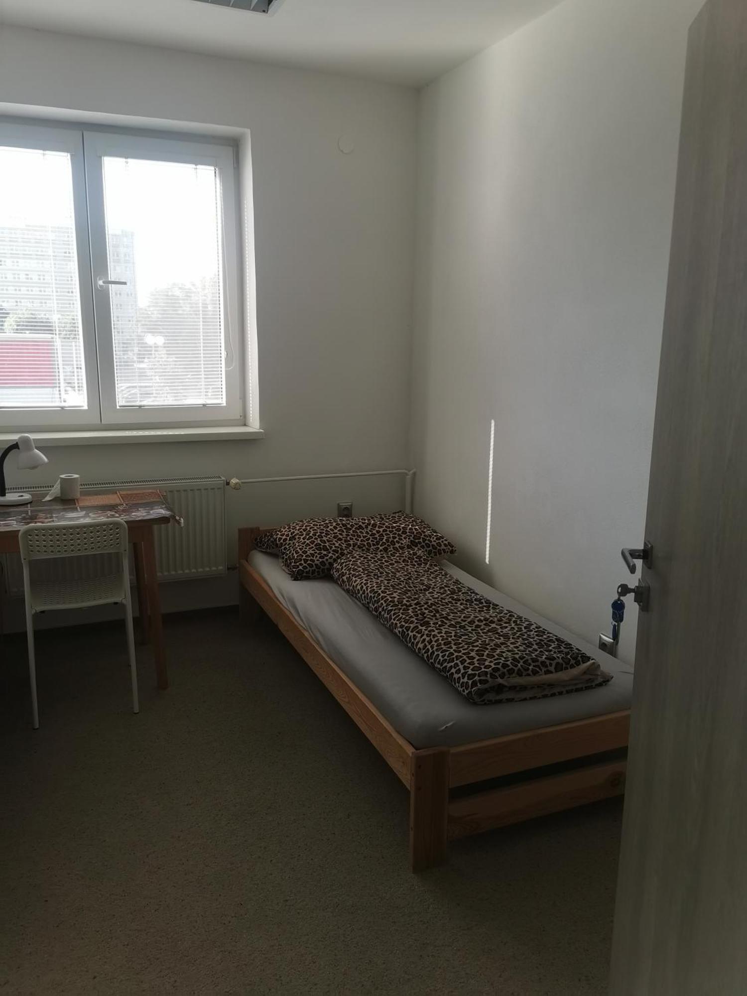 بيت شباب Living Bratislava By The Bus Station المظهر الخارجي الصورة